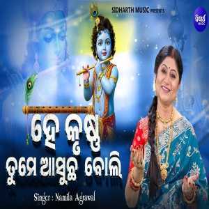 He Krushna Tume Asucha Boli Nomita Agrawal 